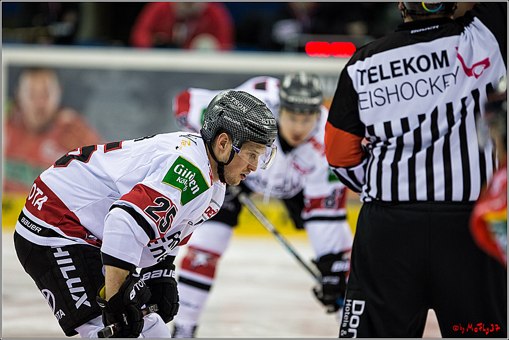 DEL, Koelner Haie - Duesseldorfer EGY, 22.01.2017